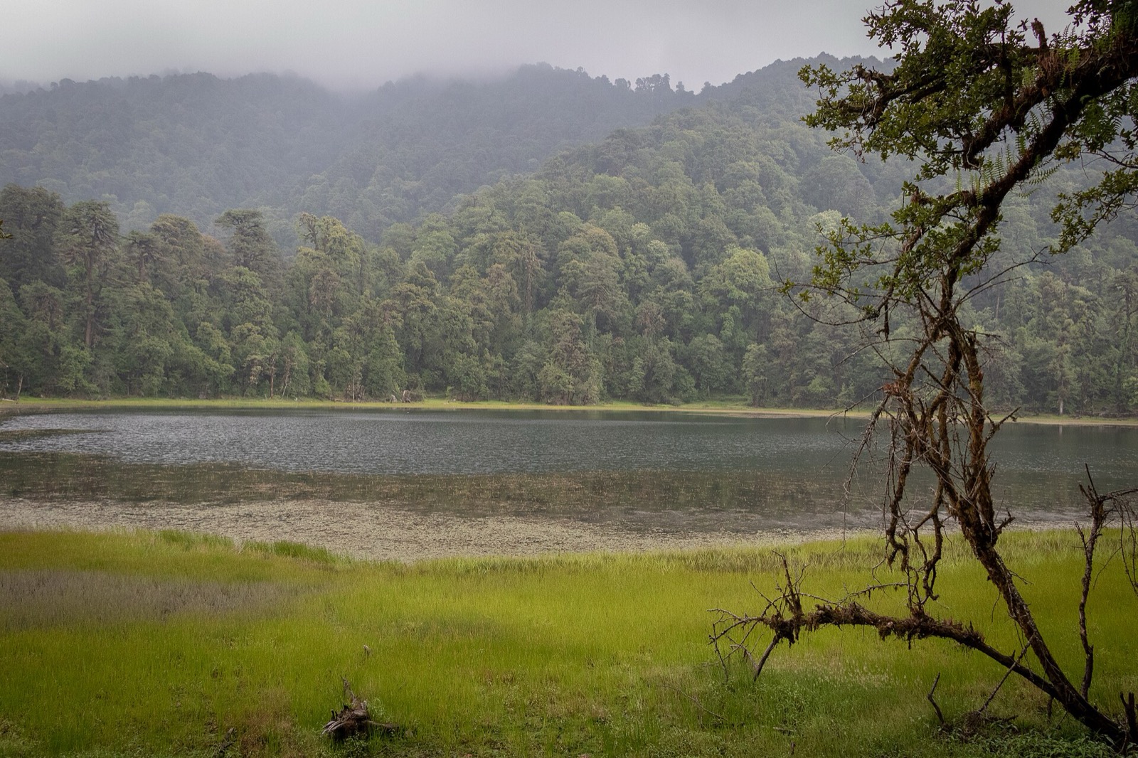 Landscape view at Ramaroshan in Achham district