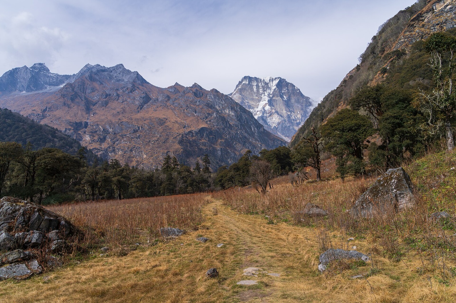 A grassy trail climbs through a valley of dry grass and conifers toward a snow-streaked peak