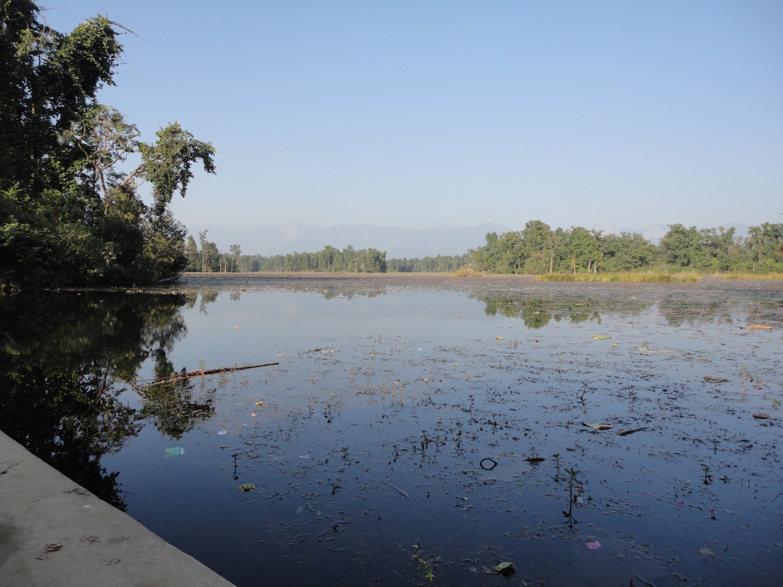 Ghodaghodi Lake, a Ramsar wetland in Kailali district, with water and surrounding vegetation
