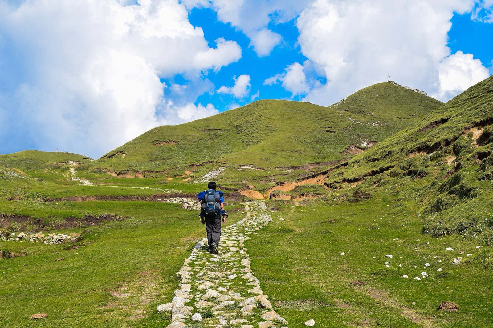 Open meadow with forest at the edge in Khaptad National Park